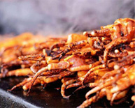 ��ɫ�տ���ҵ��